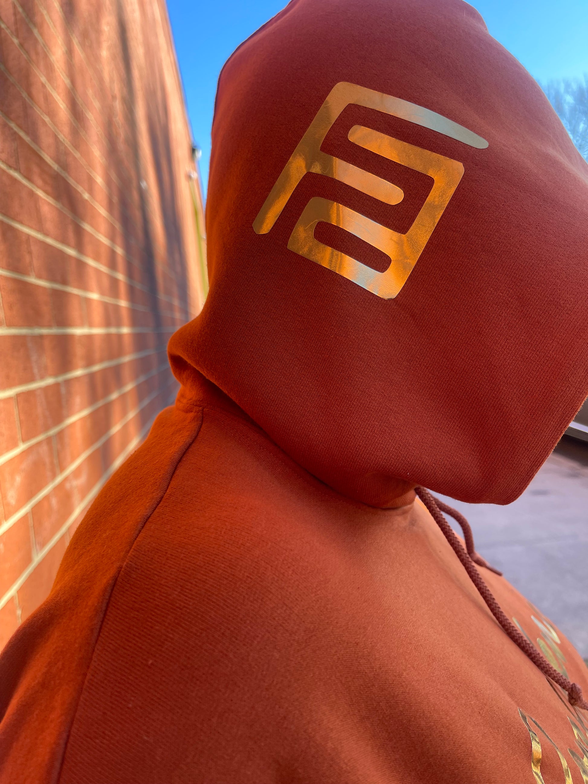 Confidence is My Vibe Hoodie